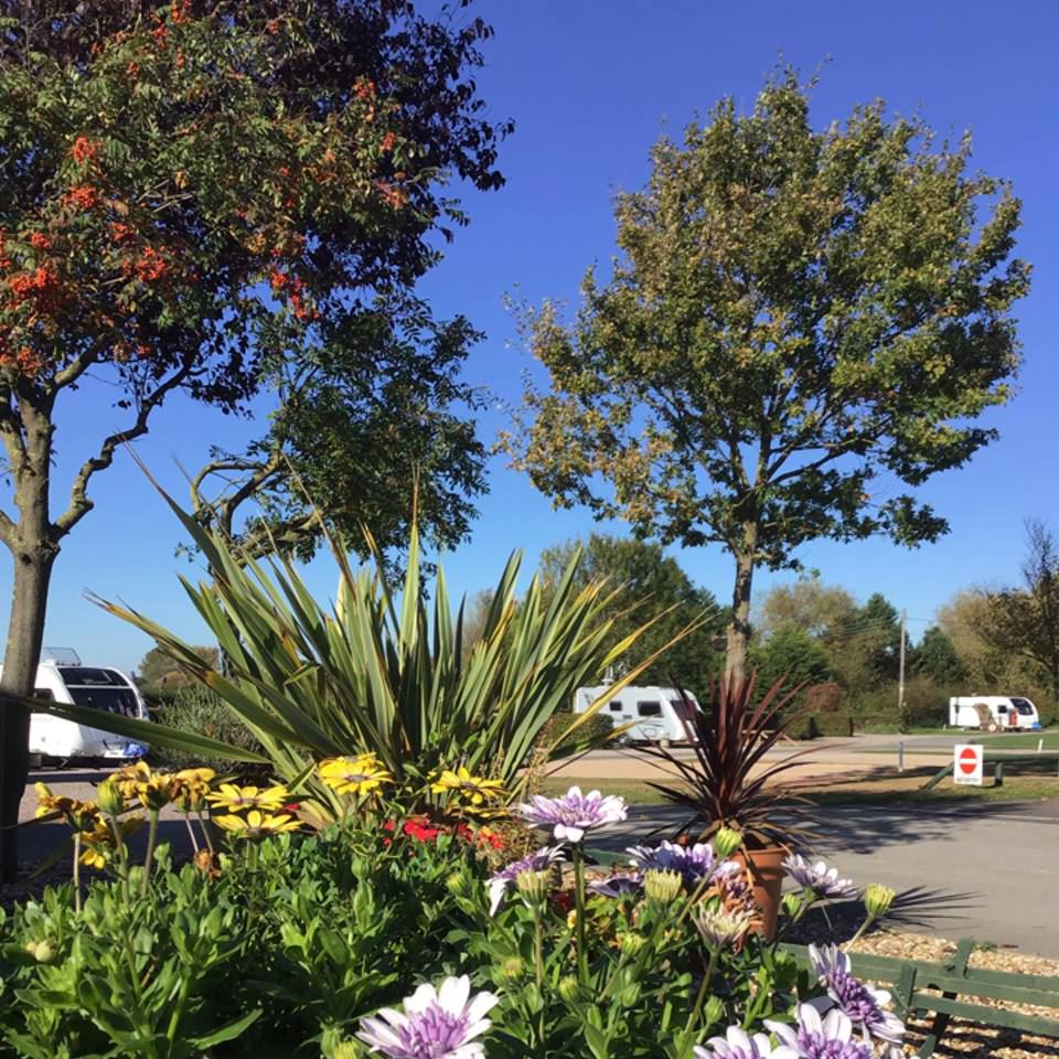Flower beds by the entrance
