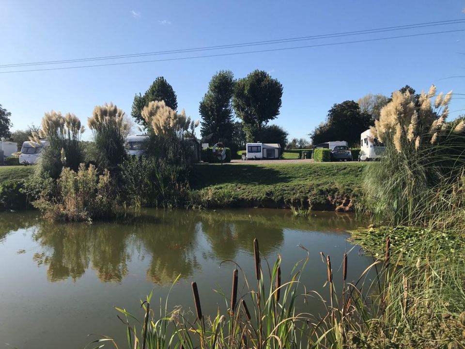 Lake edge and pitches