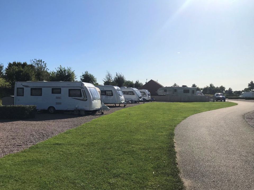 Caravans lined up on grass