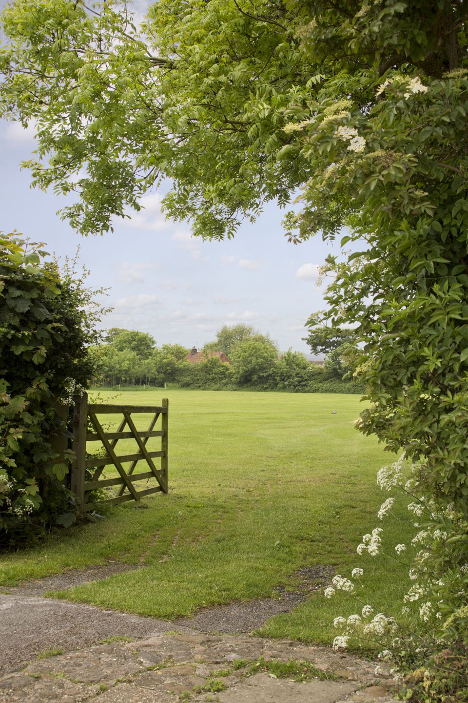 Gate into the games field