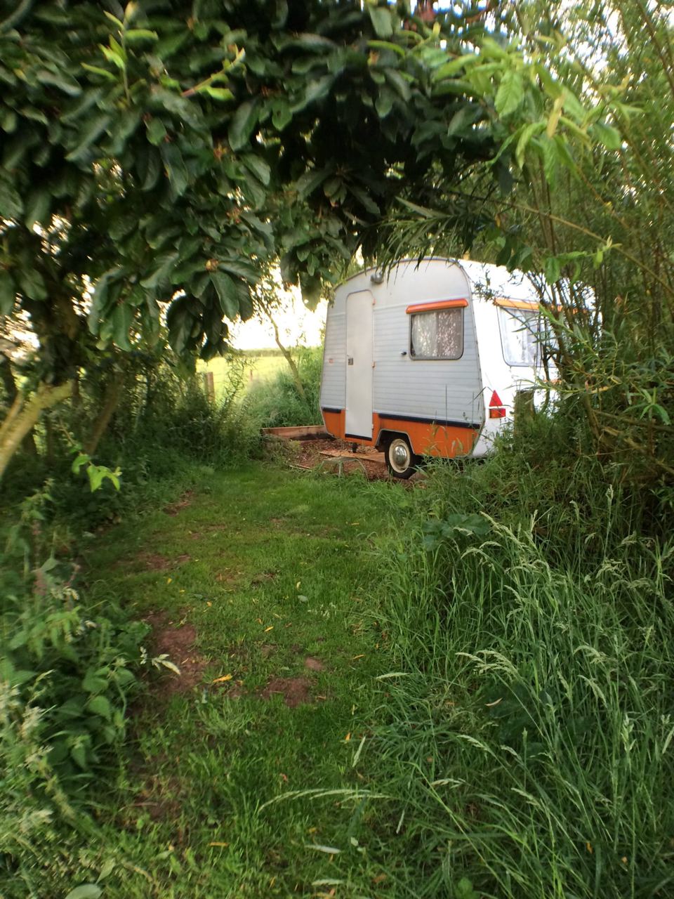 Vintage caravan among trees