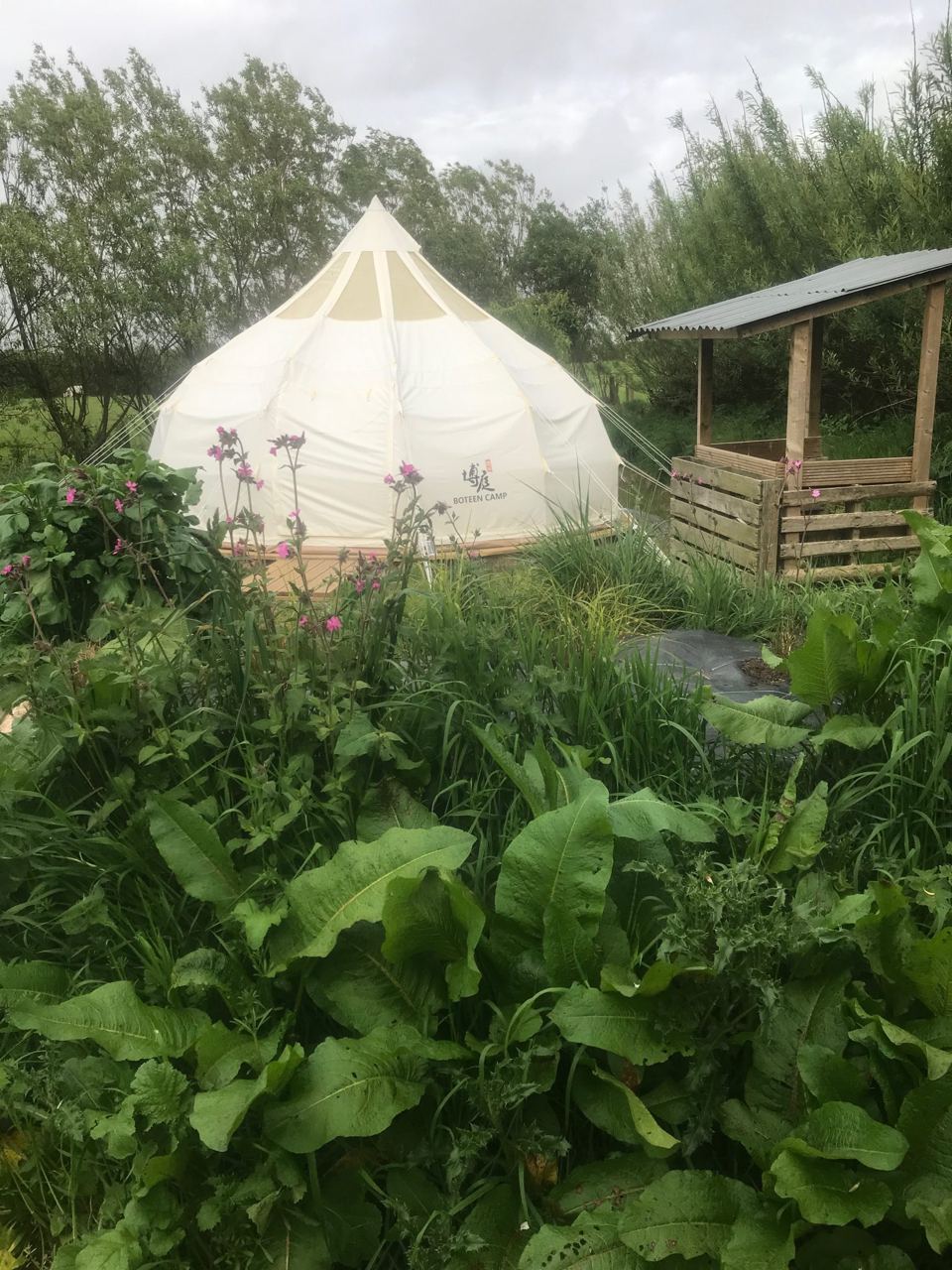 Bell tent and cooking shelter