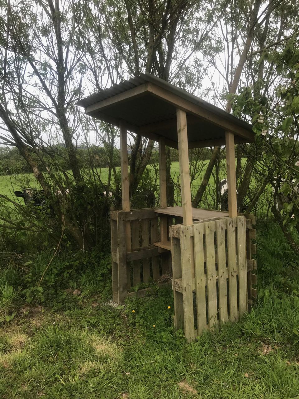 Covered cooking shelter
