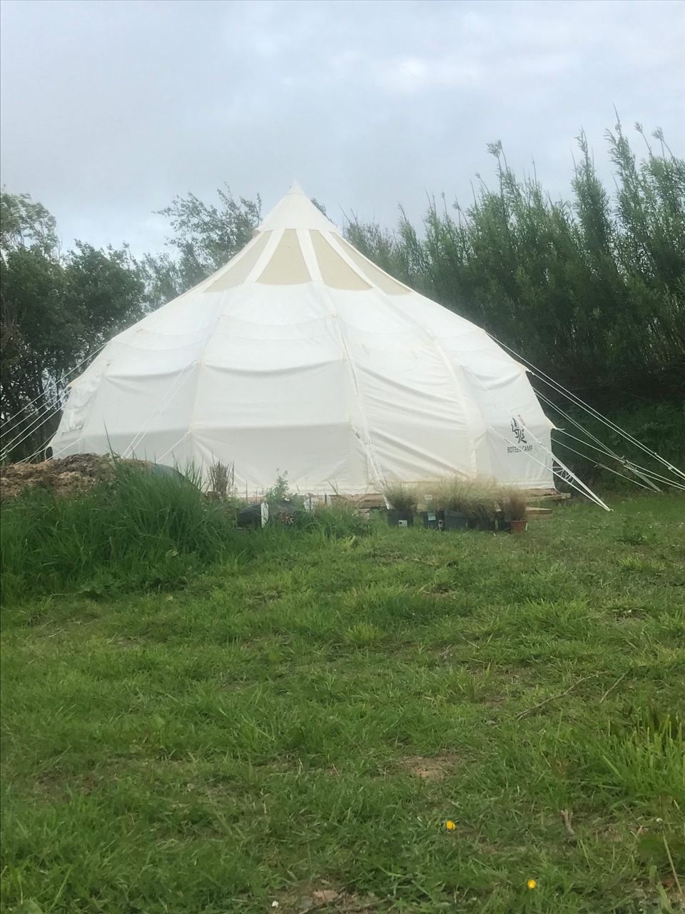 Bell tent on the grass
