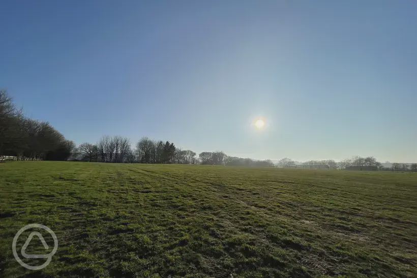 Field under a bright sky
