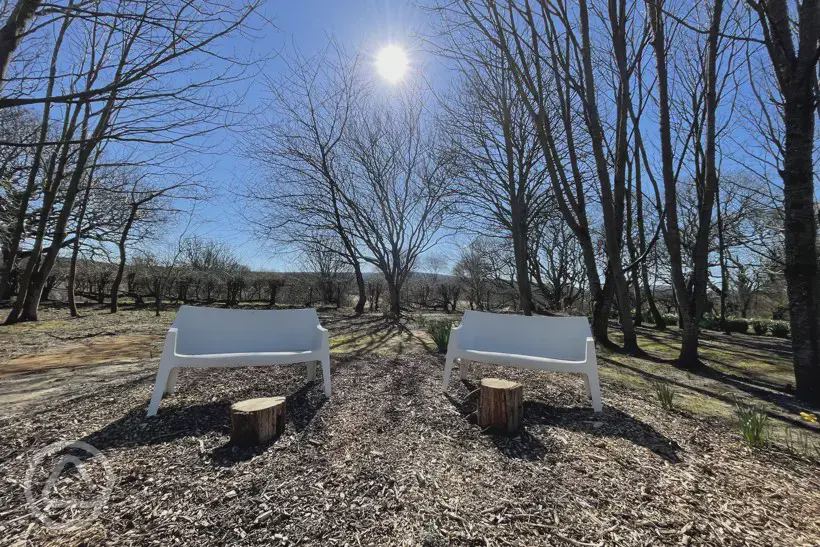 Chairs and logs by the trees