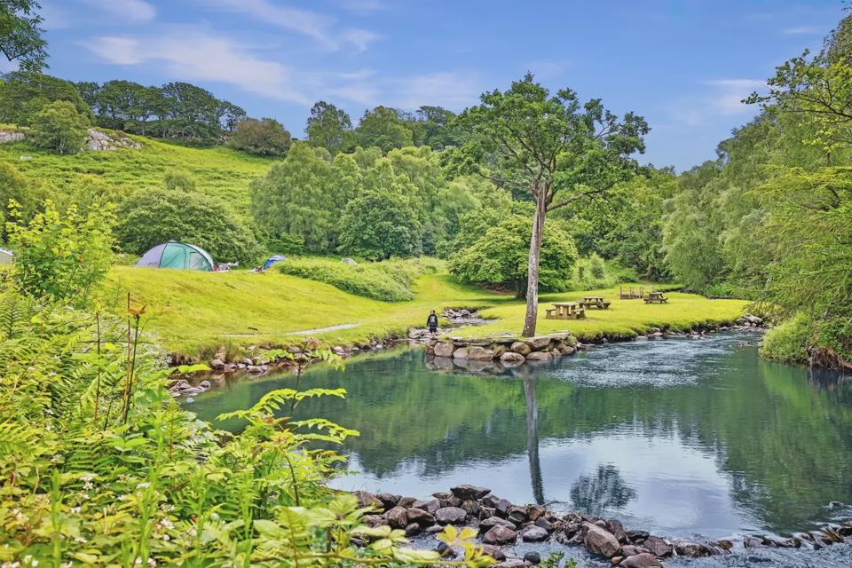 Meadow and stream with trees