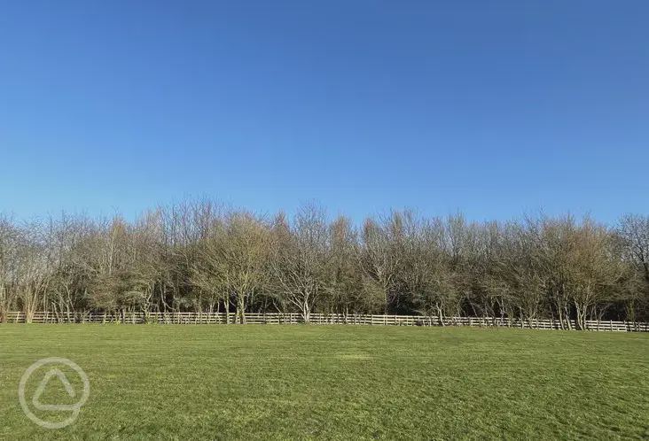Field with a fence line