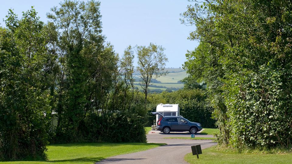 Campervan along the tree-lined track