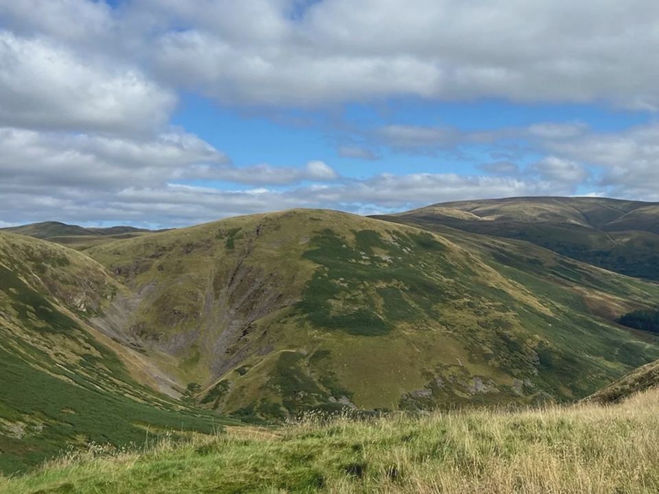 Hills above the park