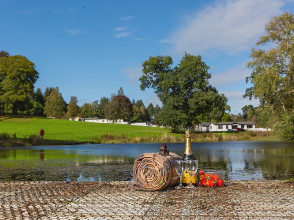 Lake on the park