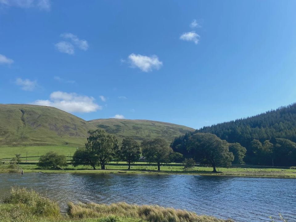 Lake with forested hills