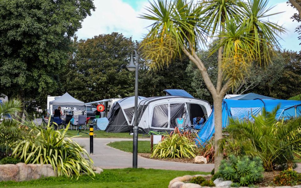 Tents among the palms