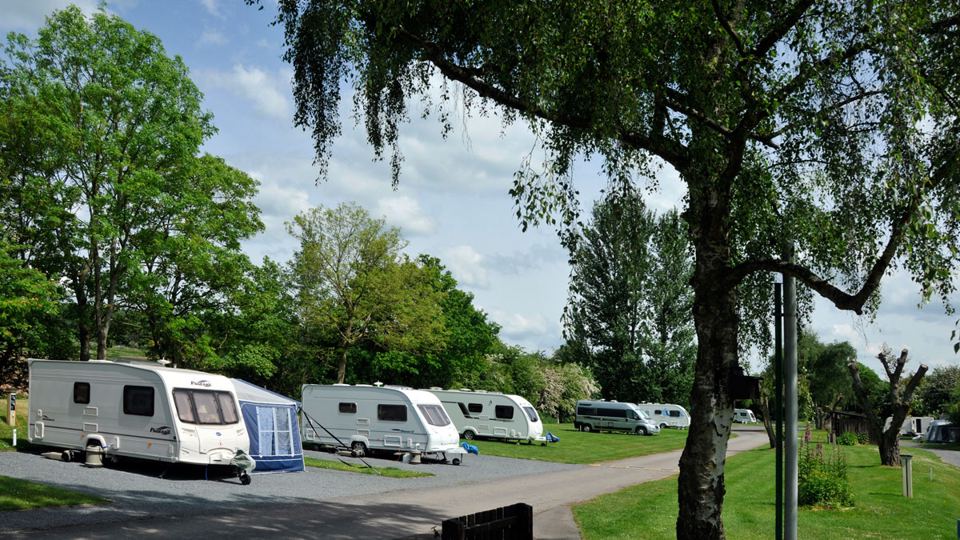 Caravans under old trees