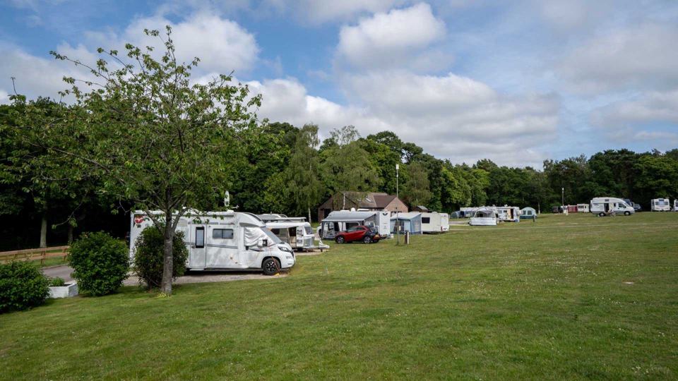 Motorhomes on the grass pitches