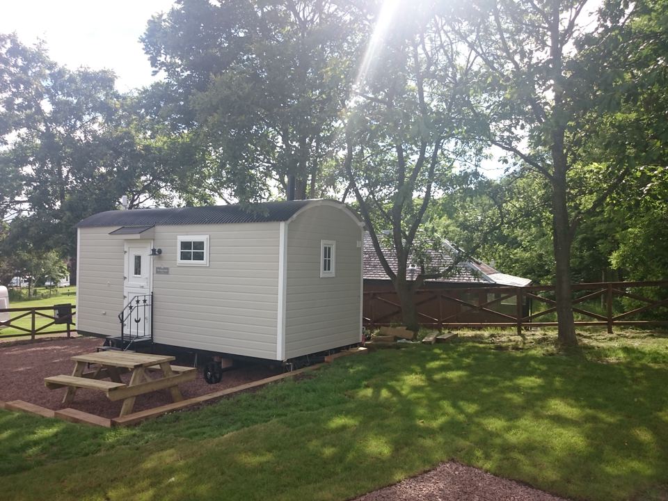 Shepherd's hut under trees