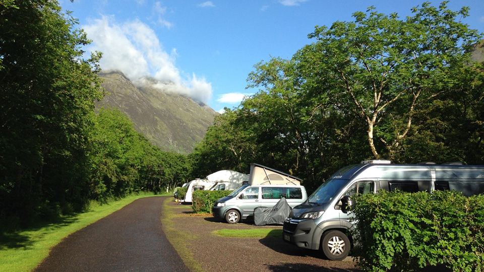 Pitches under the trees