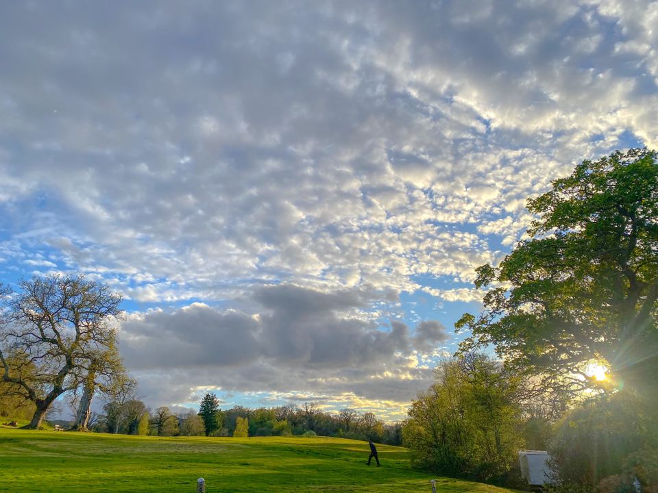 Open grounds of the old golf course