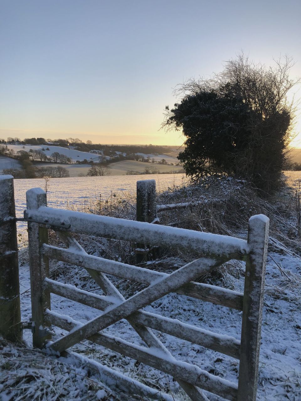 Frosty gate on the farm walks