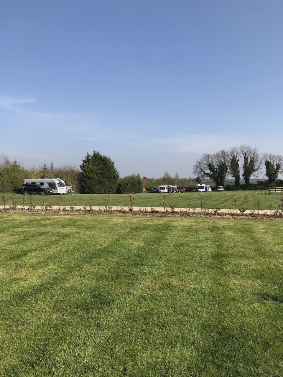 Camping field with vans