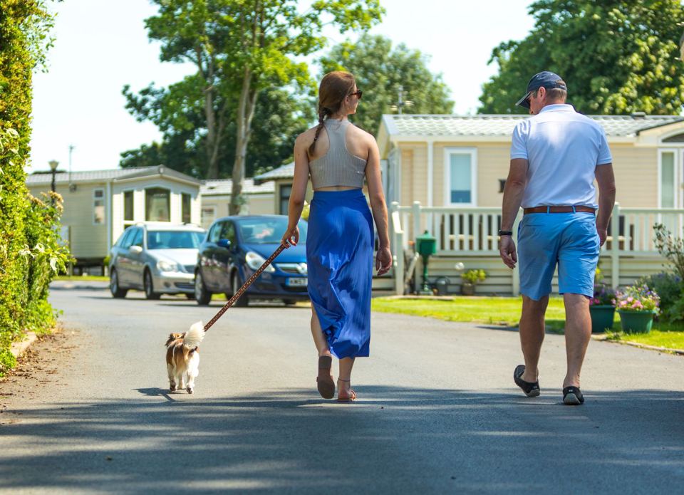 Walking a dog through the park