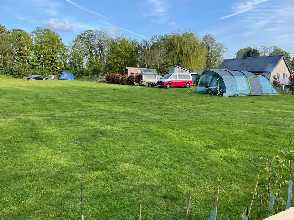 Tents and campervans on the grass