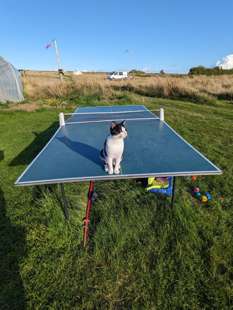 Table tennis in the meadow