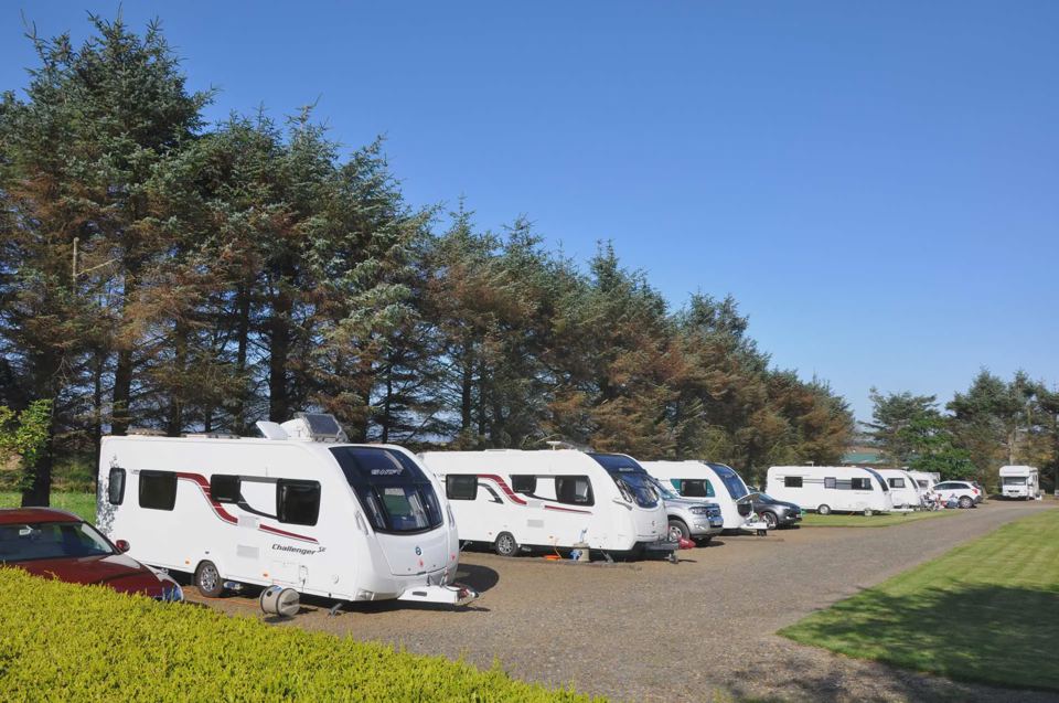 Touring caravans along the tree line