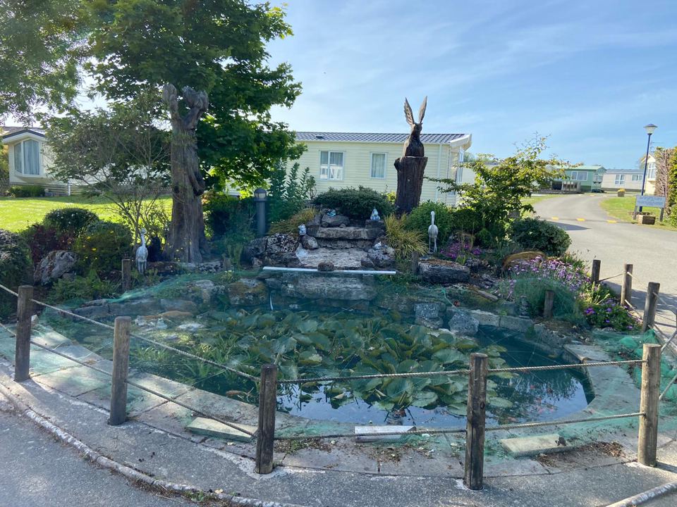 Pond and garden feature