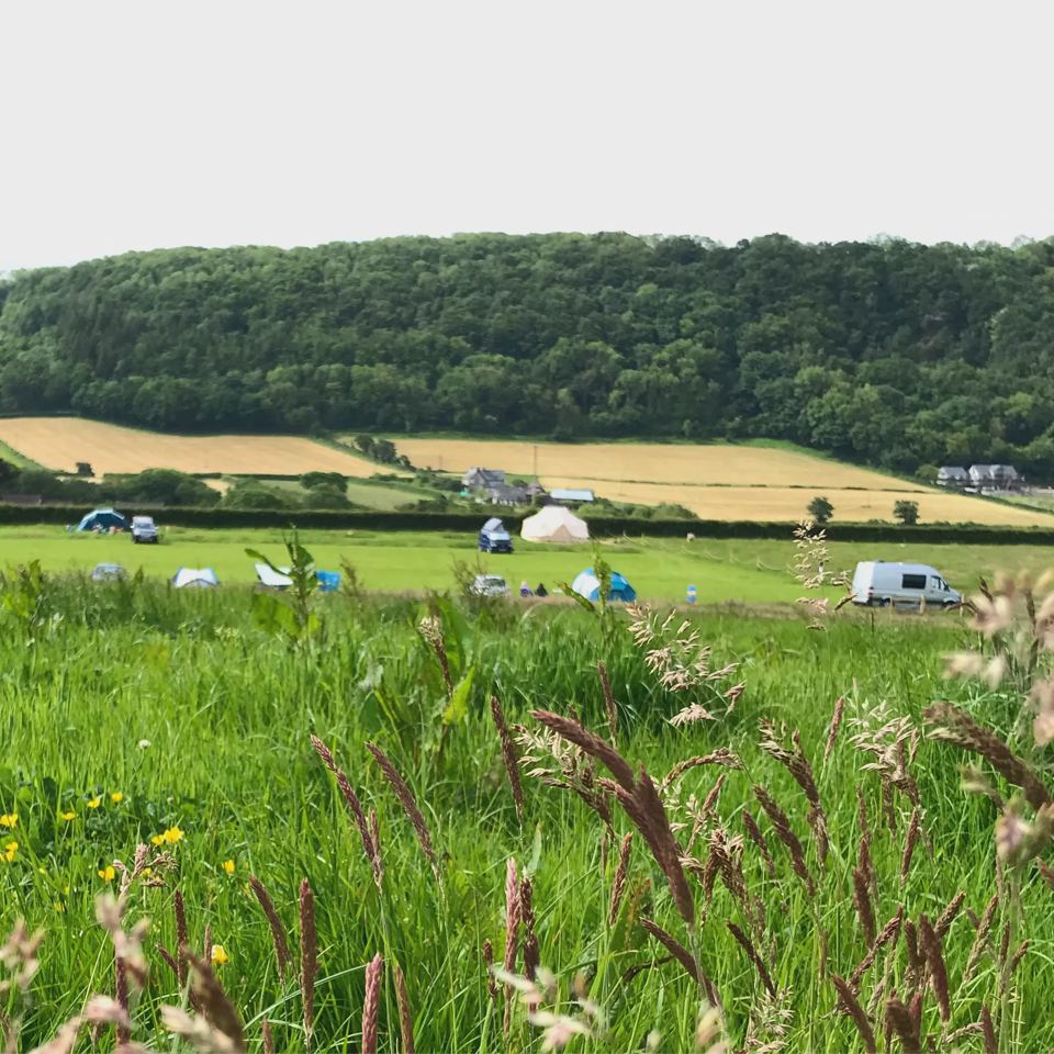 Tents in the camping meadow
