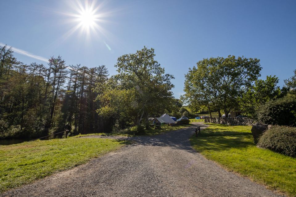 Track through the camping field