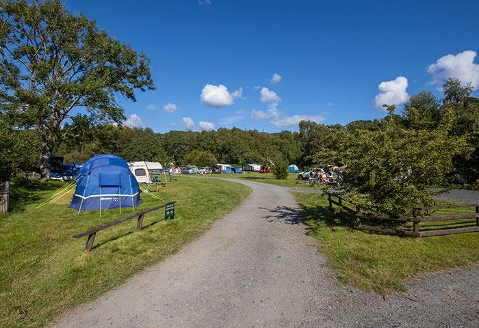 Tent pitch on the grass