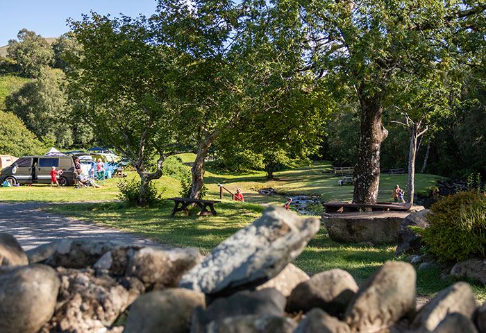 Picnic area under the trees