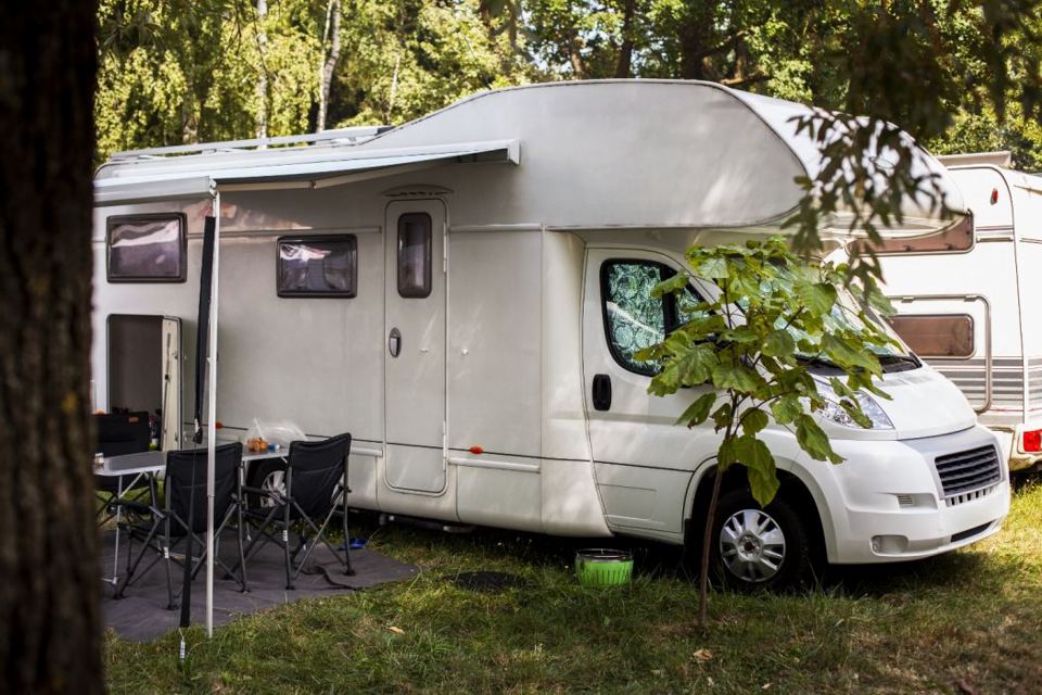 Motorhome pitched under trees