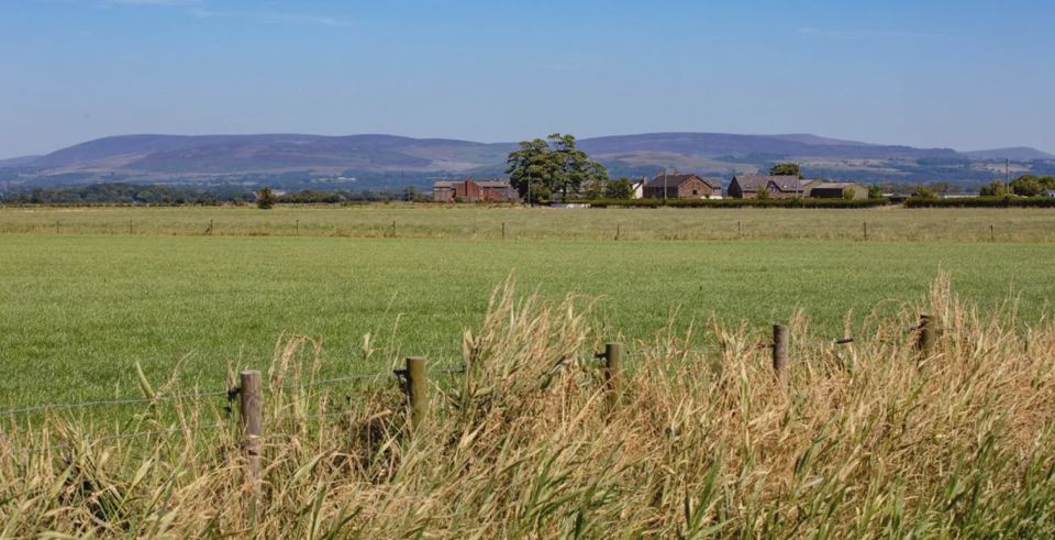 Fields and hills beyond