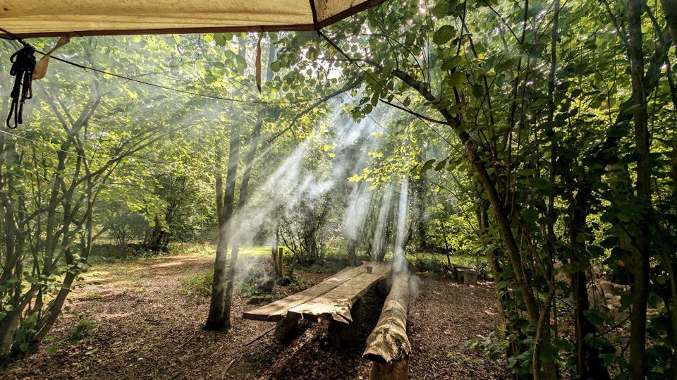 Communal seating in the wood