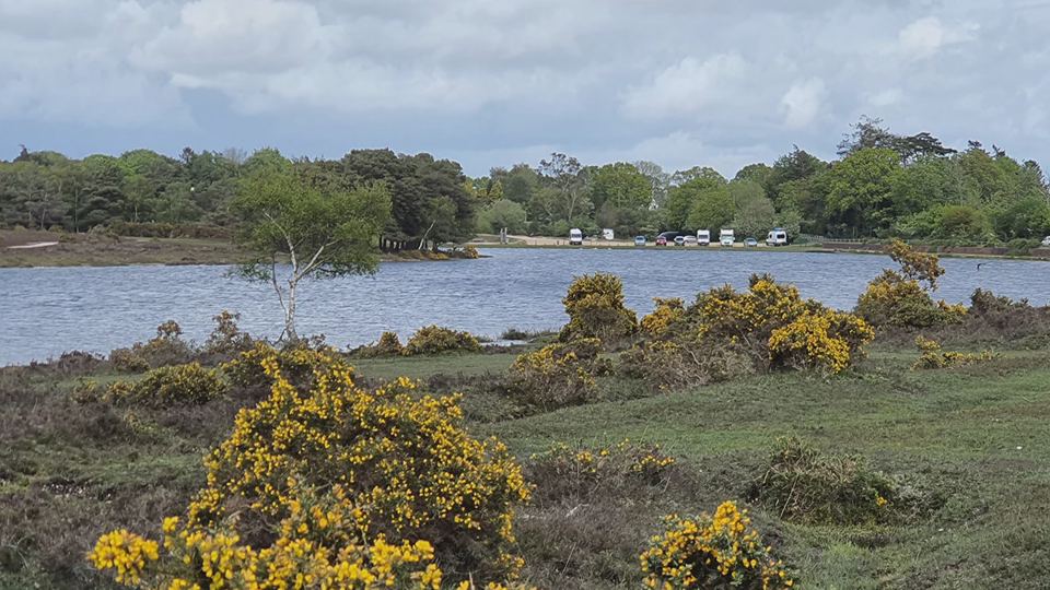 Heath and water nearby