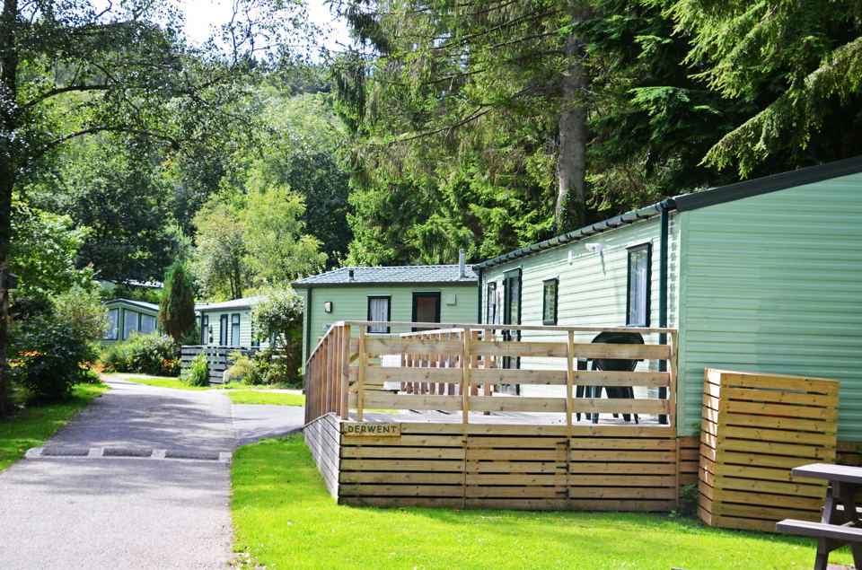 Static caravans beside the trees