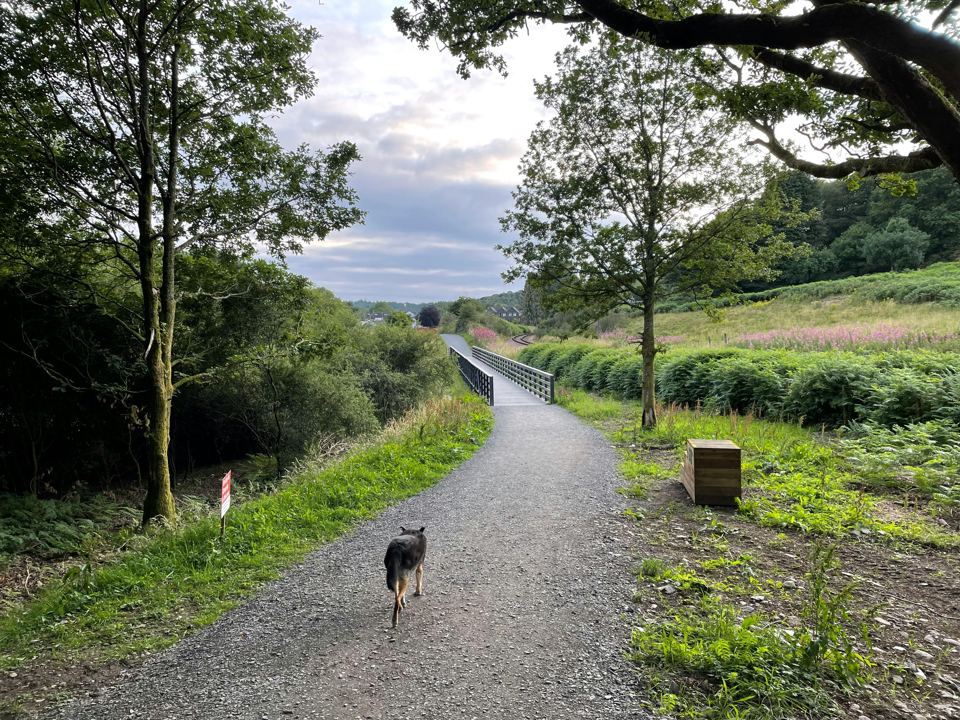 Gravel path beside the trees