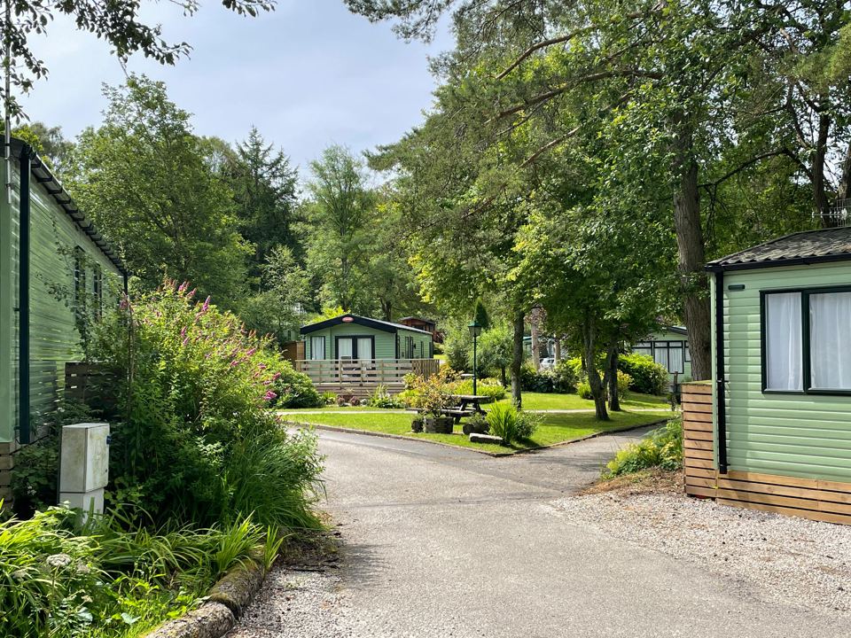 Static caravans among the trees