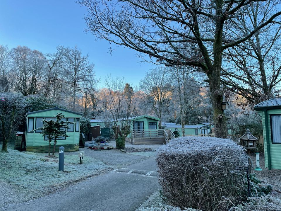 Frosty static caravans under bare trees