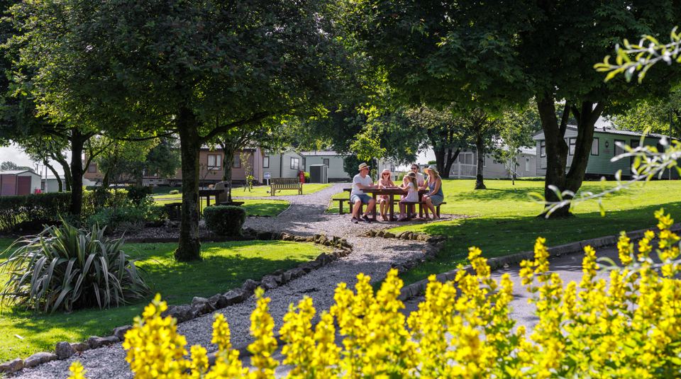Picnic area among the trees