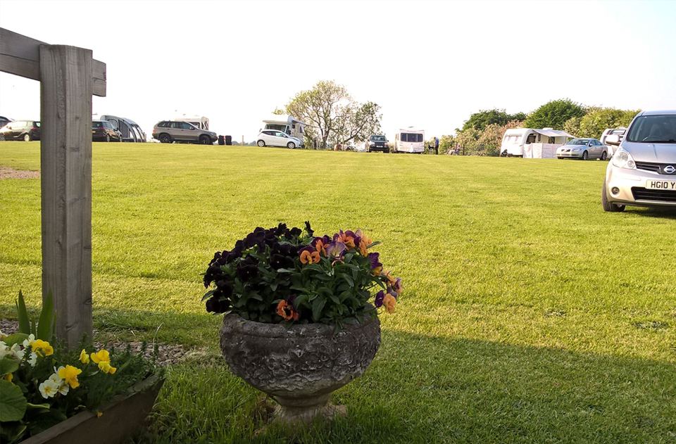 Open lawn with a flower planter