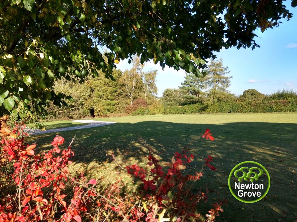 Grass pitching area