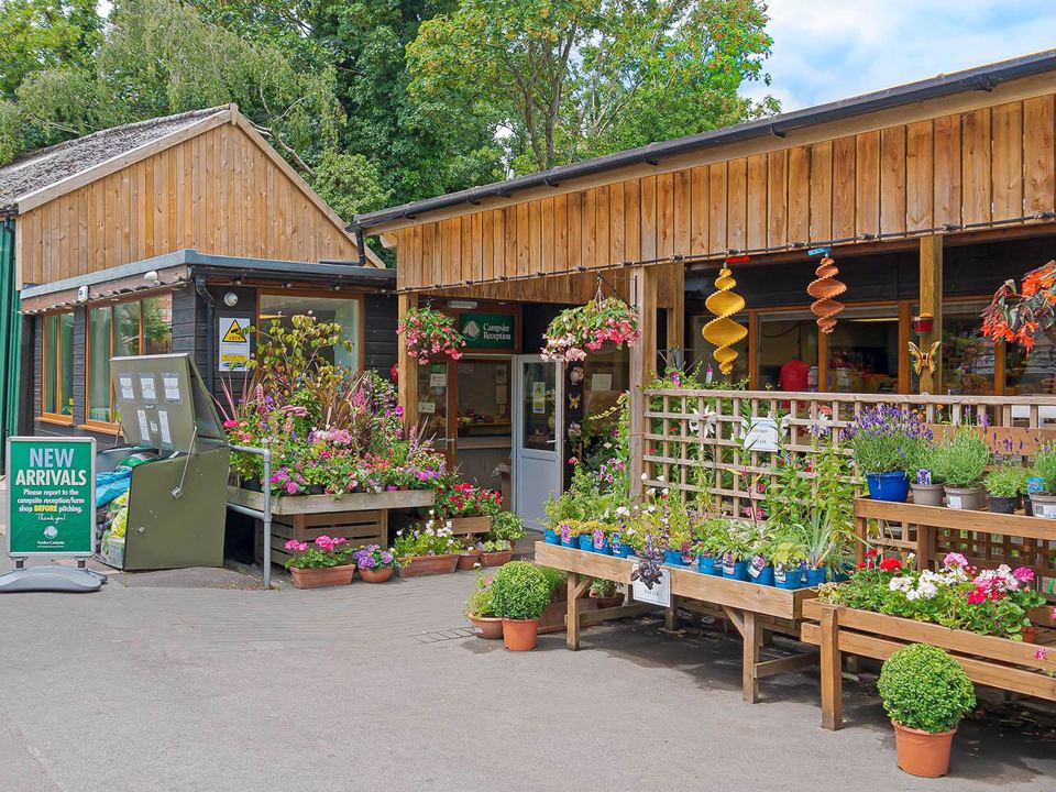 Farm shop and plant stalls