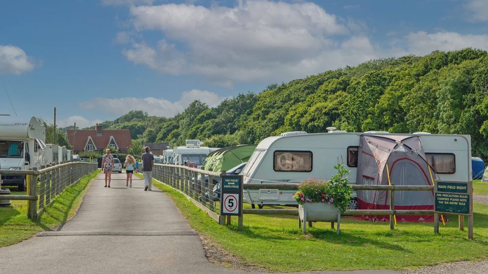 Caravan pitches beside the track