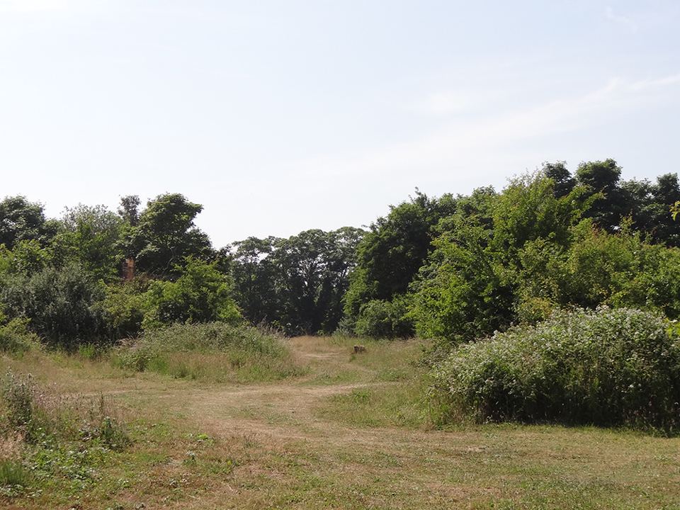 Open grassy pitch area