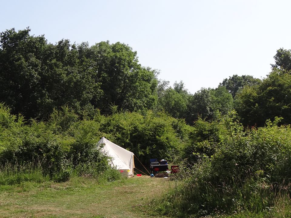 Tent in a clearing