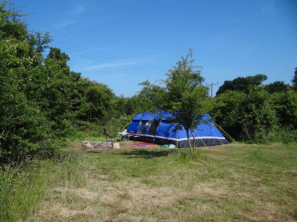 Large tent among the trees