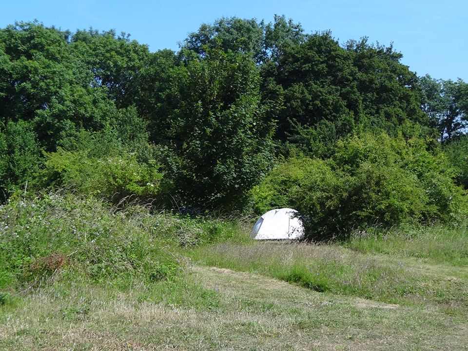 Tent in a clearing